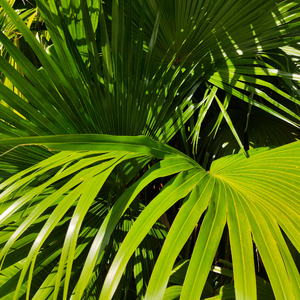 亚洲第一国产综合
